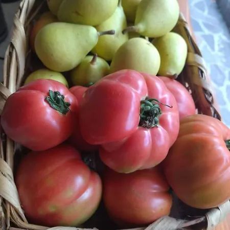 Mario Relais Nocleg ze śniadaniem