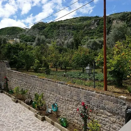 Bed and Breakfast Mario Relais Σορέντο