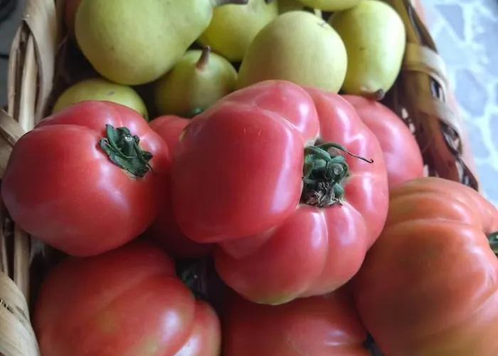 Mario Relais Bed & Breakfast