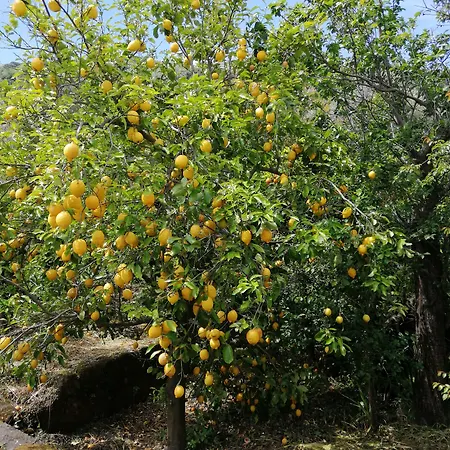 Mario Relais Alojamento de Acomodação e Pequeno-almoço Sorrento
