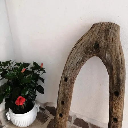 Alojamento de Acomodação e Pequeno-almoço Mario Relais Sorrento